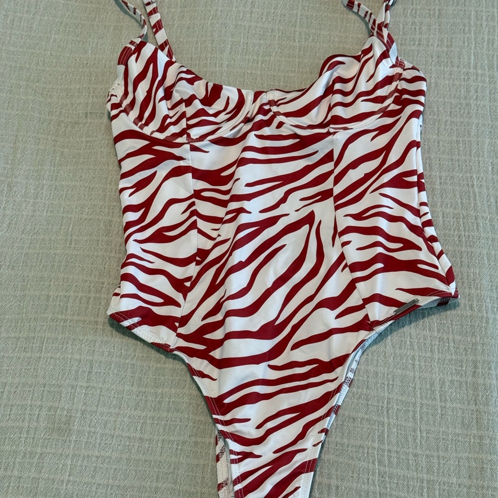 Free Society Rust Zebra Print One-Piece Swimsuit